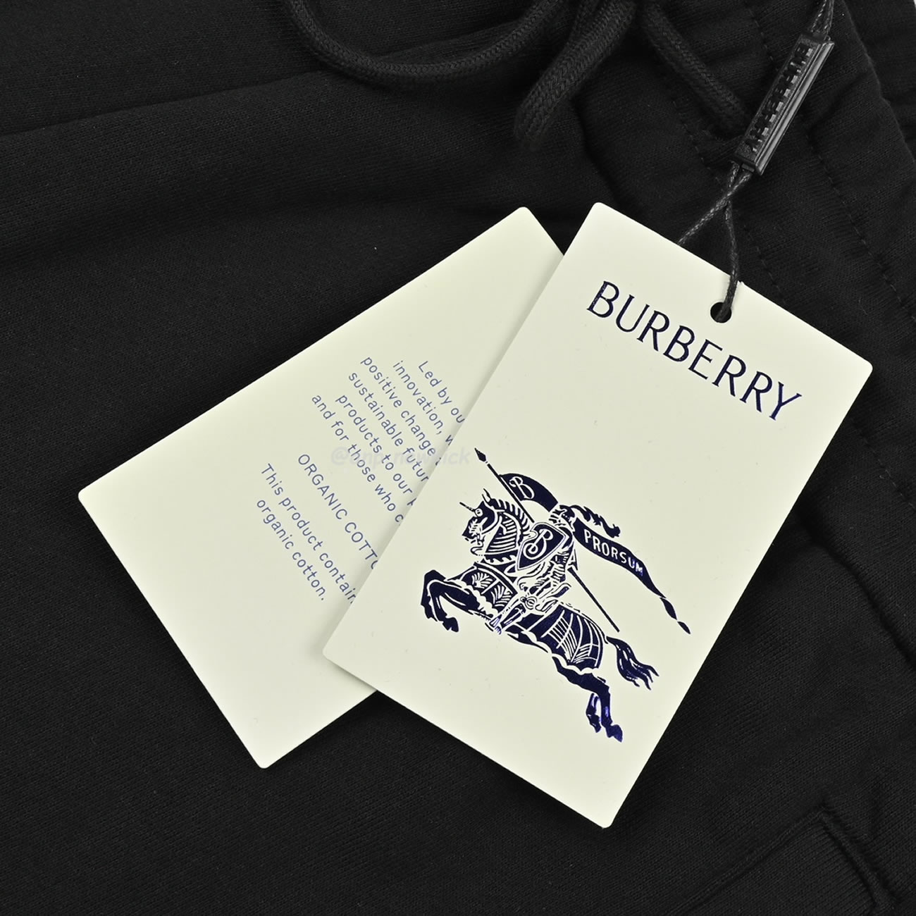 Burberry 24ss Rope Embroidered Knight Warrior Horse Small Label Colored Shorts (7) - newkick.org